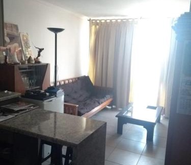 Downtown Santiago Apartment | Alojamientos On Santiago