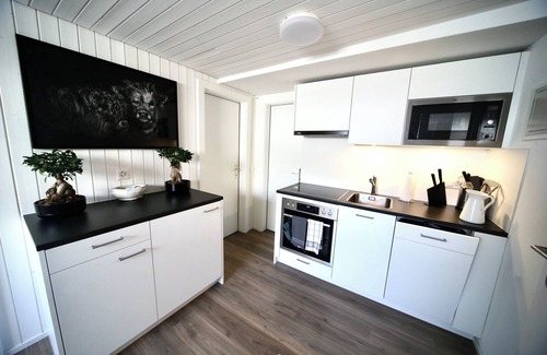 Engelberg Apartment | ALP APARTMENTS with self check-in
