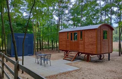 Helvecia Other | Alpacacamp