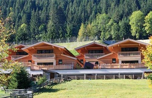 Flachau House | Alpin-Chalet Flachauwinkl