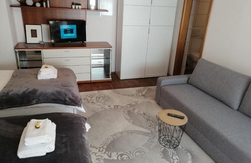 Schwarzach im Pongau Apartment | Alps Apartment