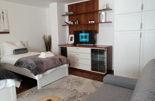 Schwarzach im Pongau Apartment | Alps Apartment