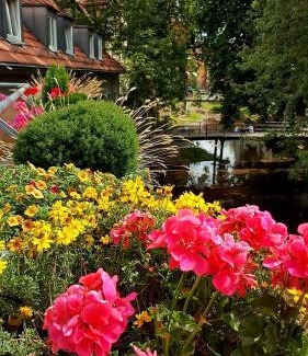 Erfurt Old Town Apartment | Altstadtapartment an der Krämerbrücke Nr.2