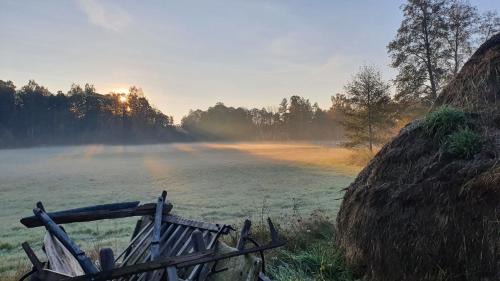 Burg Apartment | Am Grünen Meer