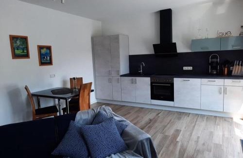 Einruhr House | Am Hostertberg Comfortable holiday residence