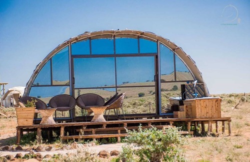 Amboseli Cabin | Amanya 2-Rooms Lioness Family