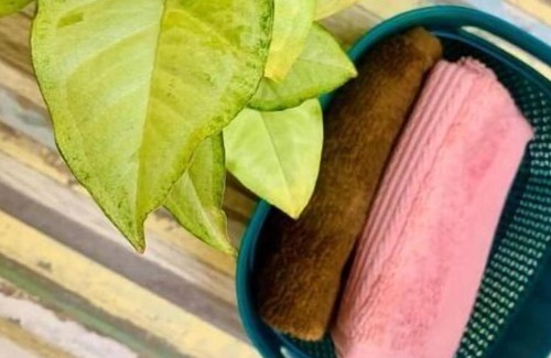 Siolim Villa | Amarelo Goa Private Pool Villa By the Hills