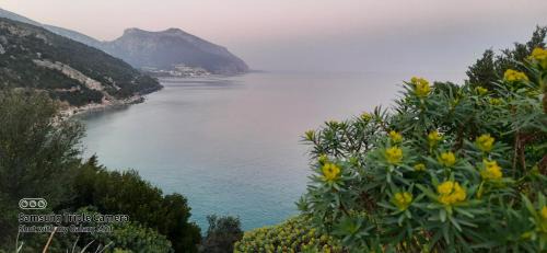 Cala Gonone Apartment | Amazing View Home