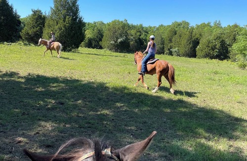 Doe Run RV Rental | Amazing Views, Unique Tee Pee Camping. Trail Rides on site. Pet Friendly!