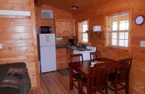Keystone Cabin | American Pines Cabin, 5 Miles from Mt. Rushmore!