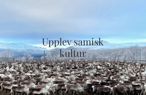 Ammarnas Hotel | Ammarnäsgårdens Fjällhotell