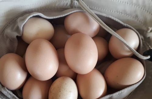 Campista Cottage | Amorada site - beautiful view, comfort and peace