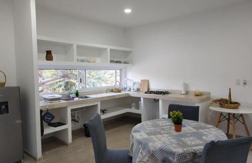 Ciudad Fernandez House | Amplio departamento CASA MANGO