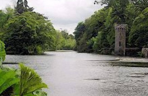 Wexford Cottage | An apartment that sleeps 5 guests in 2 bedrooms