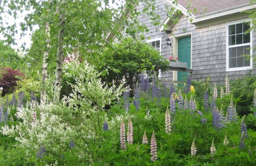 Camden House | . . . an oasis in the heart of Camden.