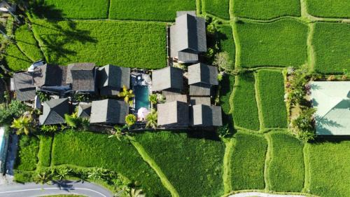 Melayang Resort | Ananda JJ Ubud Resort & Spa