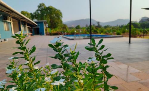 Khalapur Resort | Anant Baugh resort