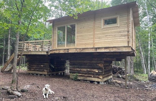 Alexandria Cabin | Anastasia’s Domain 3 Treehouse, Farm stay, off grid cabin in a beautiful forest!