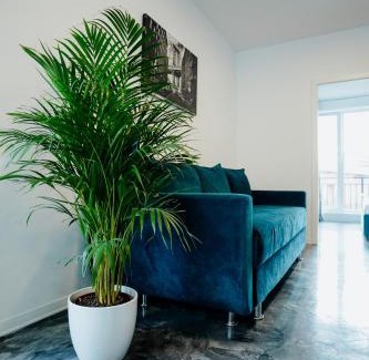 Floresti Apartment | Andrew Apartaments