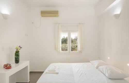 Drios Apartment | Andriana's 1 - Cycladic Home with Garden , Paros