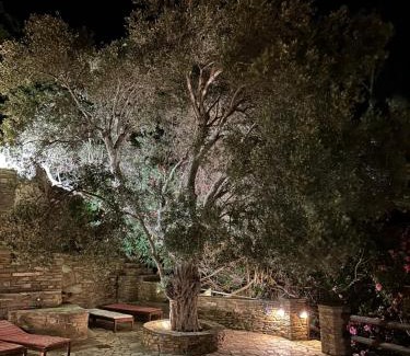 Megas Yialos-Nites House | Andros Escape Condos