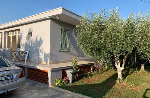 Vlore Apartment | Anel Studios