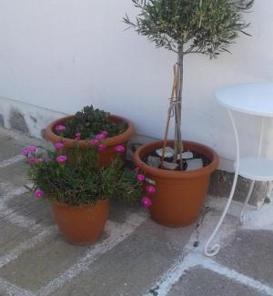 Mykonos House | Angela's Rooms
