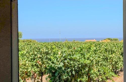 Sorso House | Annarosa