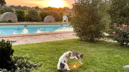 Spello House | Antiche Dimore San Felice