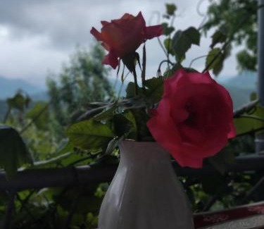 Tatev Bed & Breakfast | Anush`s B&B