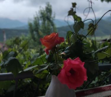 Tatev Bed & Breakfast | Anush`s B&B
