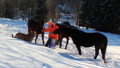 Albrechtice v Jizerskych horach Apartment | Apartmány - Chalupa Tara