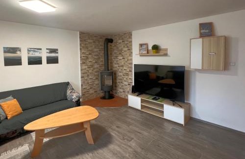 Rokytnice v Orlickych Horach Apartment | Apartmán U Jiroutů