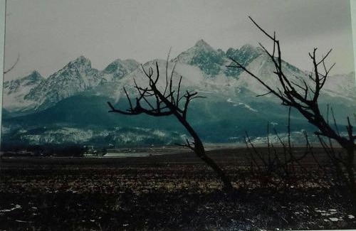 Mlynceky House | Apart-Bungalovy Gitka