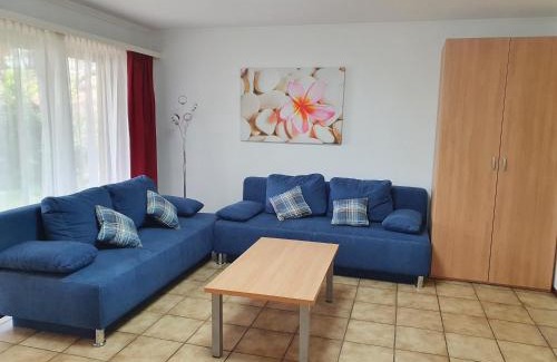 Muralto Apartment | Apart Holidays - Residenza Flora
