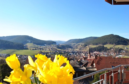 Baiersbronn Apartment | Apart Hotel Goldener Hahn Baiersbronn, Ferienwohnungen | Frühstück, Sauna & Indoorpool