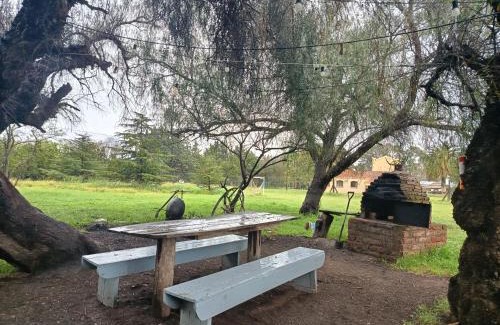 Medanos Apartment | Apart hotel Las golondrinas