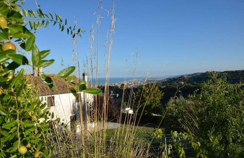 Grottammare Apartment | Apartment for relaxing holidays among olive groves overlooking the Adriatic