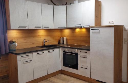 Hart im Zillertal Apartment | Apart Timeout