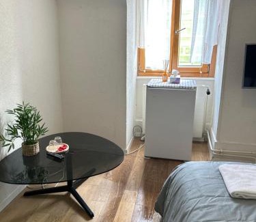 St. Johann Apartment | Aparta-Estudio en Voltaplatz