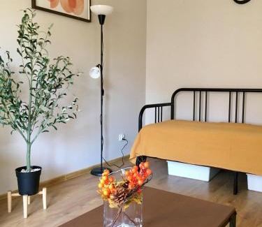 Lagiewniki Apartment | Apartament Łagiewniki 2
