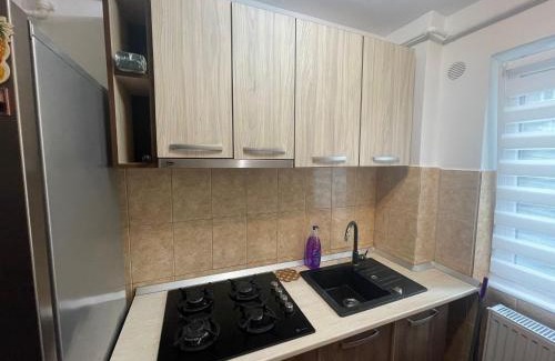 Hateg Apartment | Apartament 1