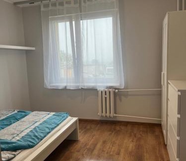 Pierwoszyno Apartment | Apartament 70 m-Gdynia Cisowa