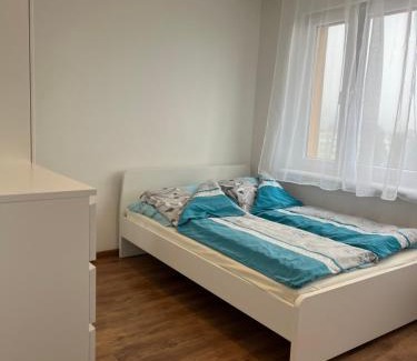 Pierwoszyno Apartment | Apartament 70 m-Gdynia Cisowa