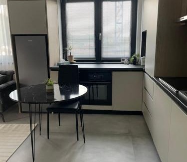 Ramnicu Valcea Apartment | Apartament A&Maya