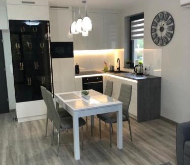 West Pomeranian Voivodeship Apartment | Apartament Agnes Szczecin Pomorzany