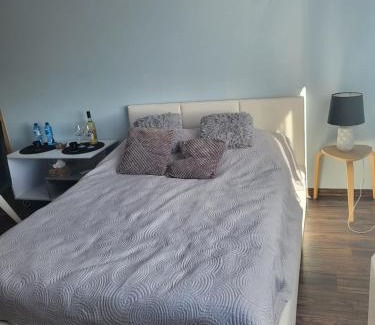 Mieroszow Apartment | Apartament Ares