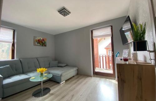 Stronie Slaskie Apartment | Apartament Artemida Kletno