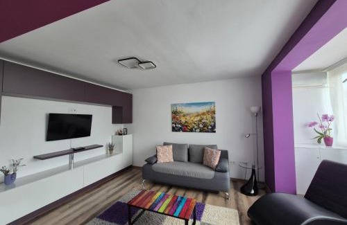 Piatra Neamt Apartment | Apartament ASR