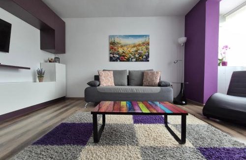 Piatra Neamt Apartment | Apartament ASR